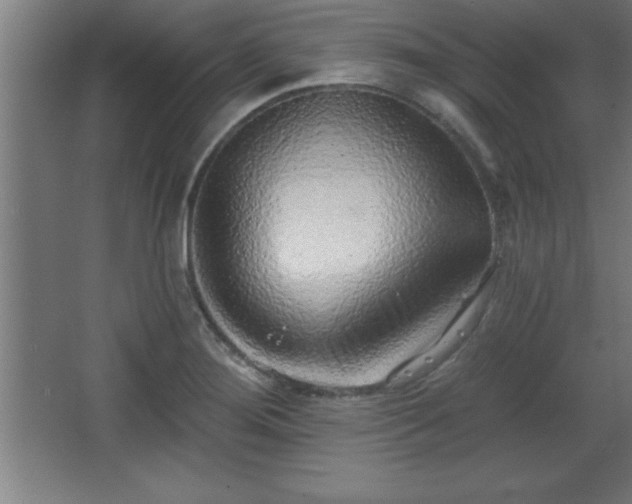 X0000068721276200605010924