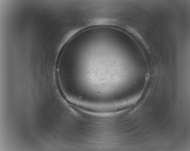 X0000068721277200605010924