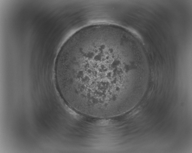 X0000068721279200605010924