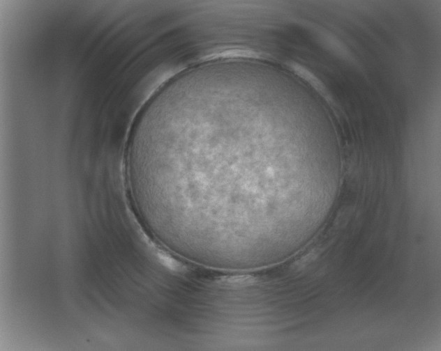 X0000068721282200605010924