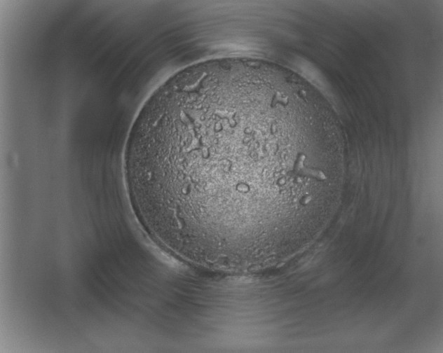 X0000068721283200605010924