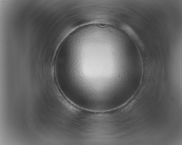 X0000068721284200605010924