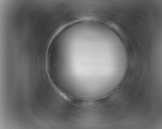 X0000068721286200605010924