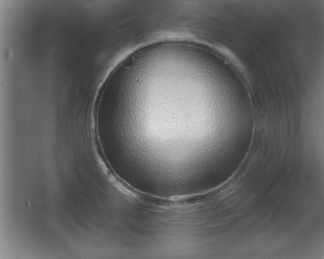 X0000068721287200605010924