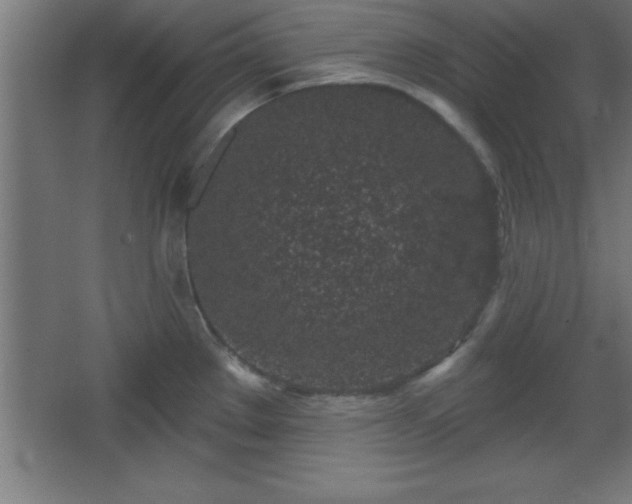 X0000068721289200605010924