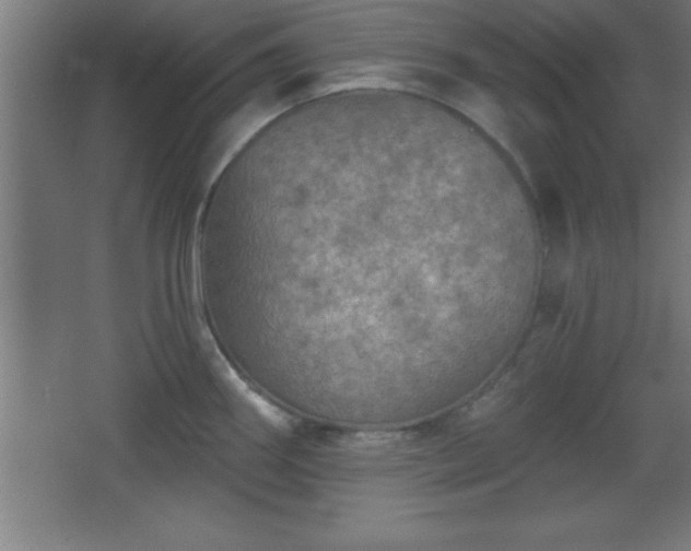 X0000068721290200605010924