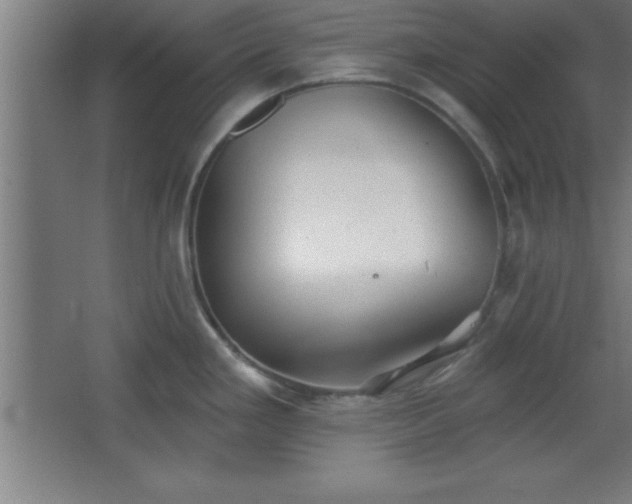 X0000068721293200605010924