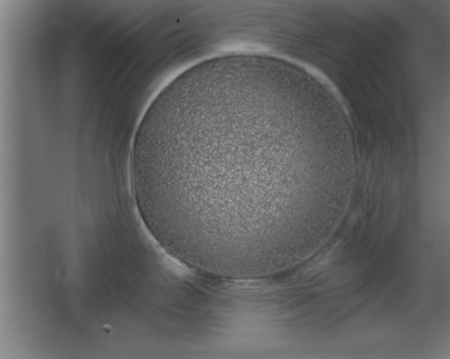 X0000068721295200605010924