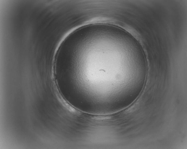 X0000068721296200605010924