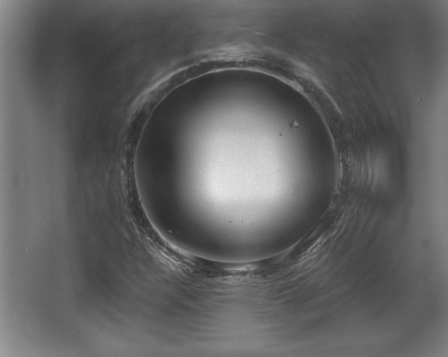 X0000068721304200605010923