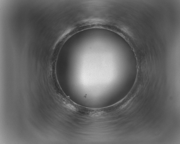 X0000068721309200605010923