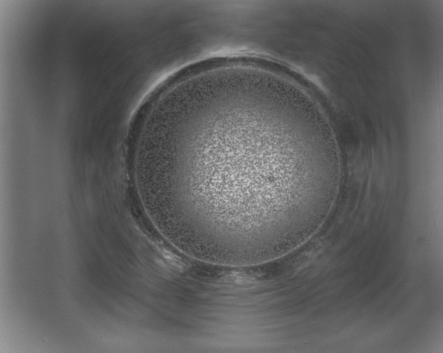 X0000068721311200605010923