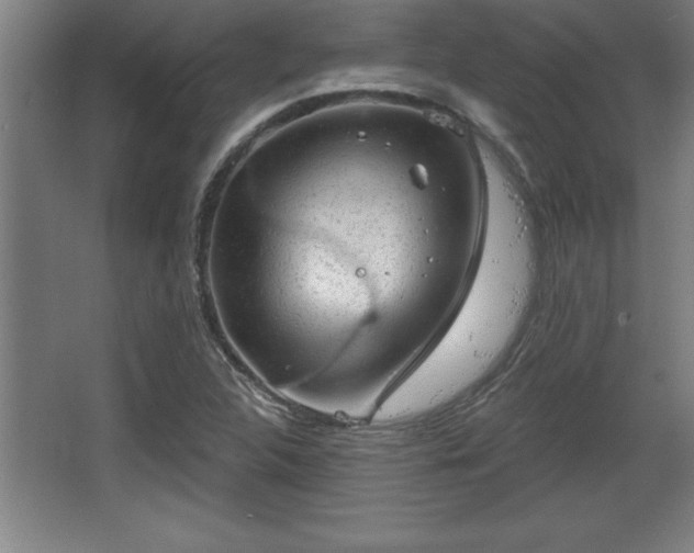 X0000068721312200605010923