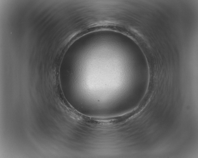 X0000068721313200605010923