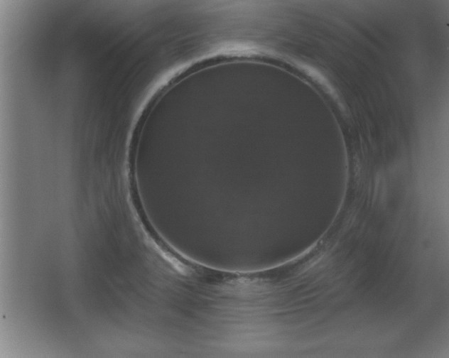X0000068721327200605010923