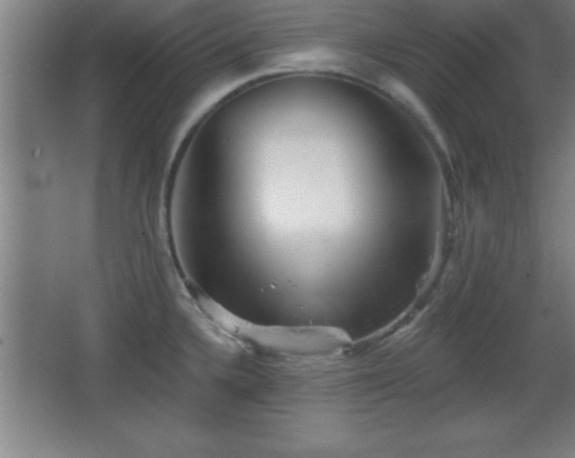 X0000068721336200605010923