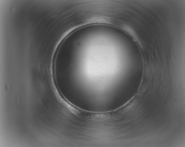 X0000068721339200605010923