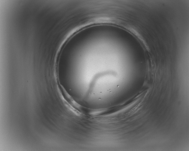 X0000068721342200605010924