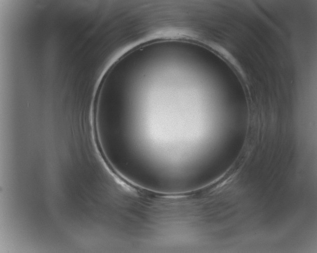 X0000068721343200605010924