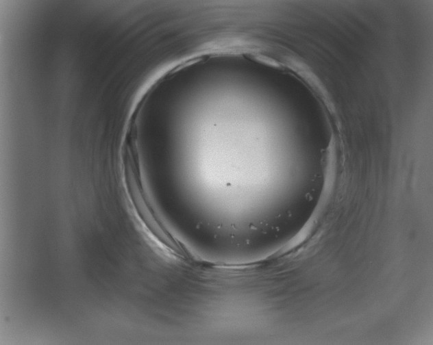 X0000068721344200605010924