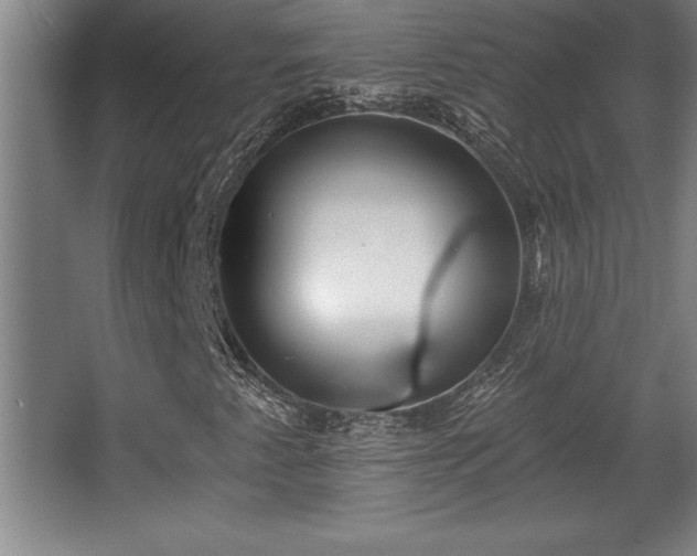 X0000068721345200605010923