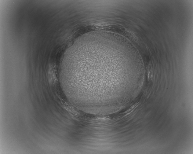 X0000068721346200605010923