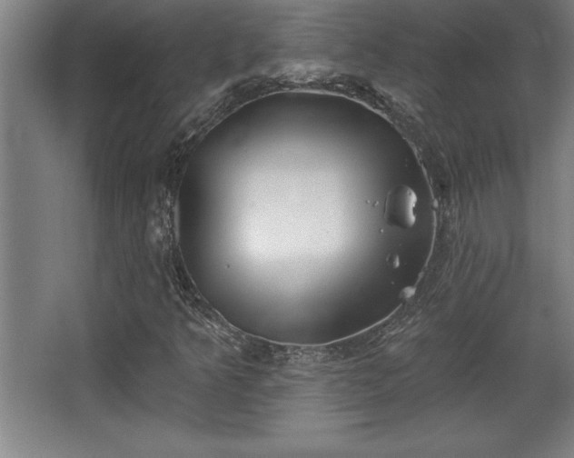 X0000068721349200605010923