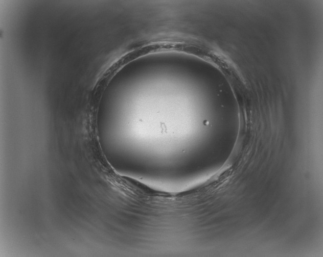 X0000068721352200605010923