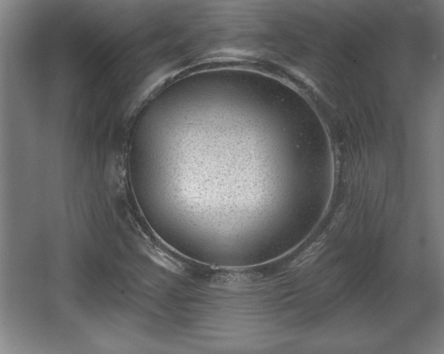 X0000068721355200605010923