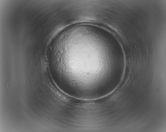 X0000068721363200605010922