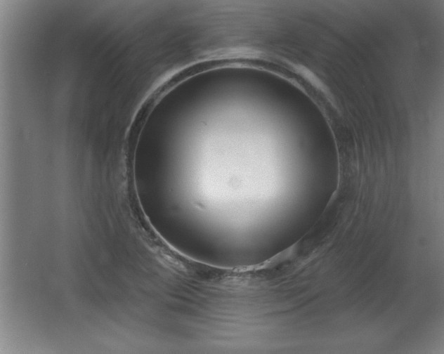 X0000068721364200605010922