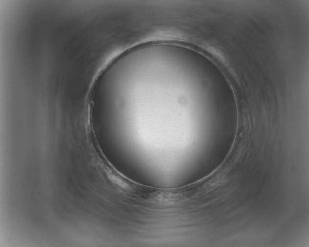 X0000068721366200605010922