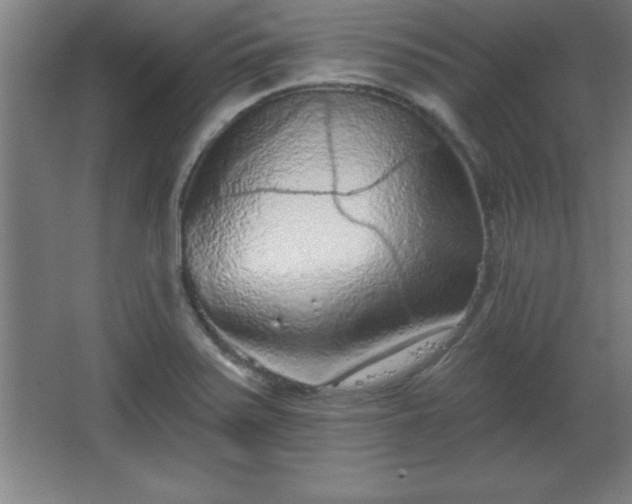X0000068721371200605010922