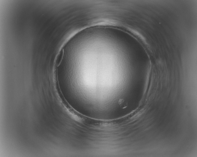 X0000068721375200605010922