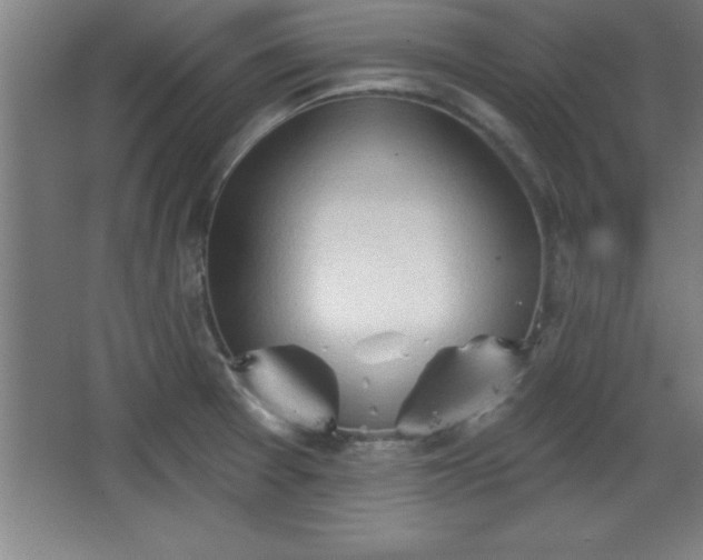 X0000068721377200605010922