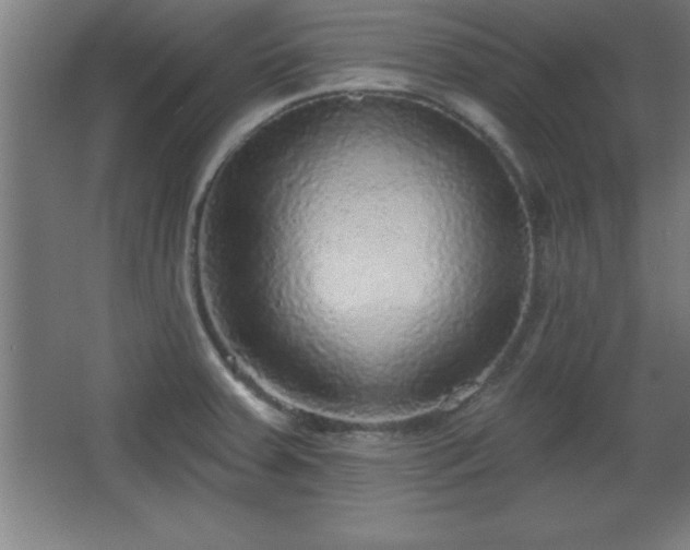 X0000068721379200605010922