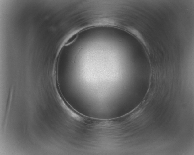 X0000068721387200605010922