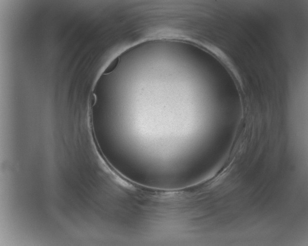 X0000068721390200605010922