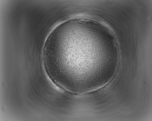 X0000068721392200605010922