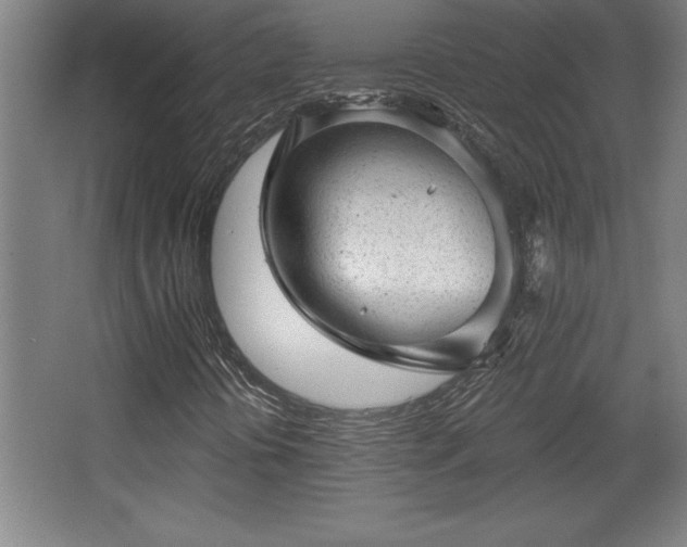X0000068721394200605010921
