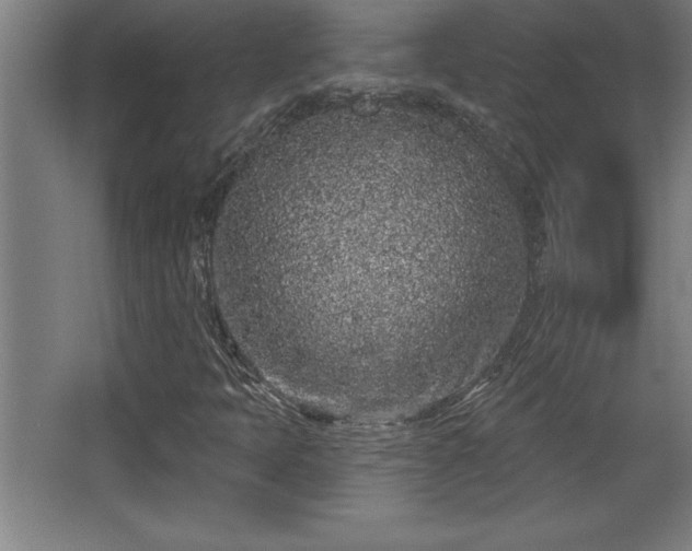 X0000068721397200605010921