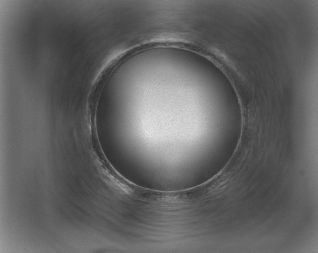 X0000068721408200605010921