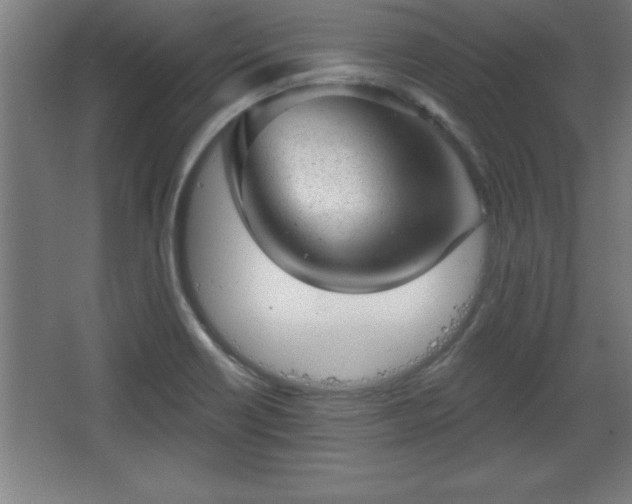 X0000068721418200605010922