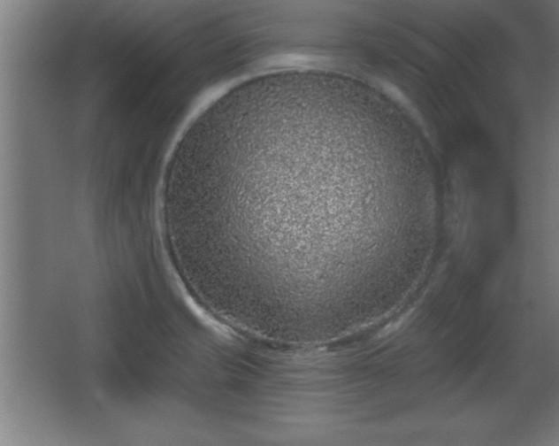 X0000068721421200605010922