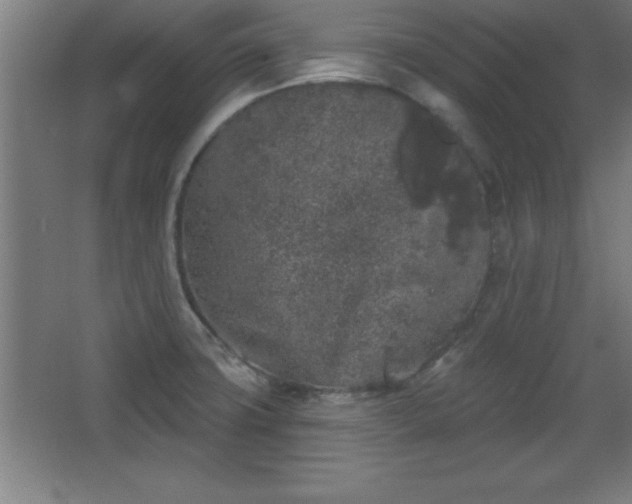 X0000068721427200605010922