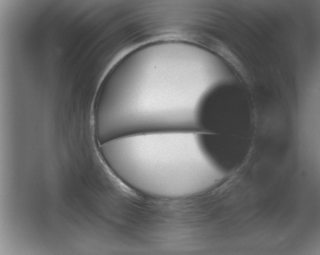 X0000068721428200605010922