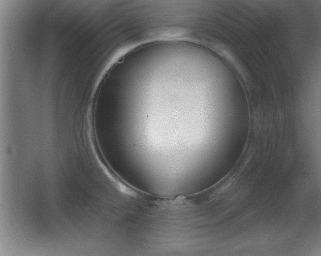 X0000068721432200605010922