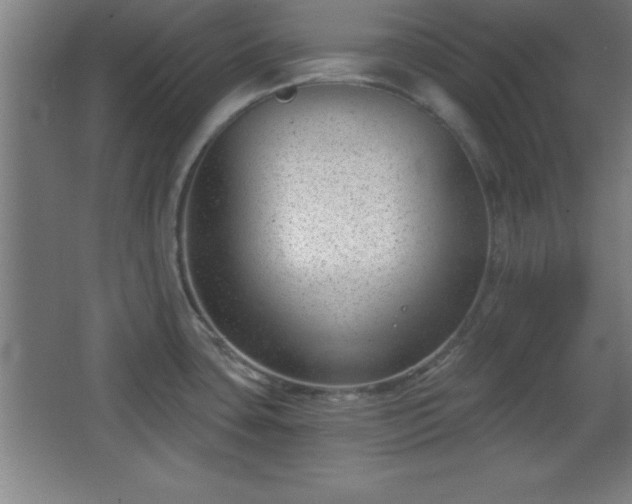 X0000068721435200605010922