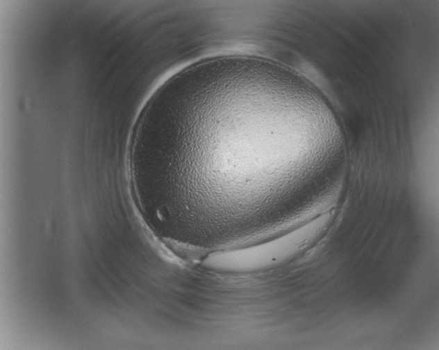X0000068721436200605010922