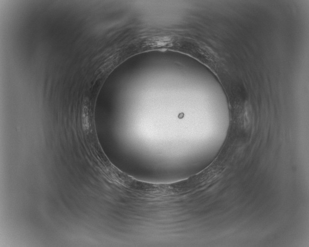 X0000068721442200605010921